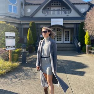 Everlane cashmere sweater dress